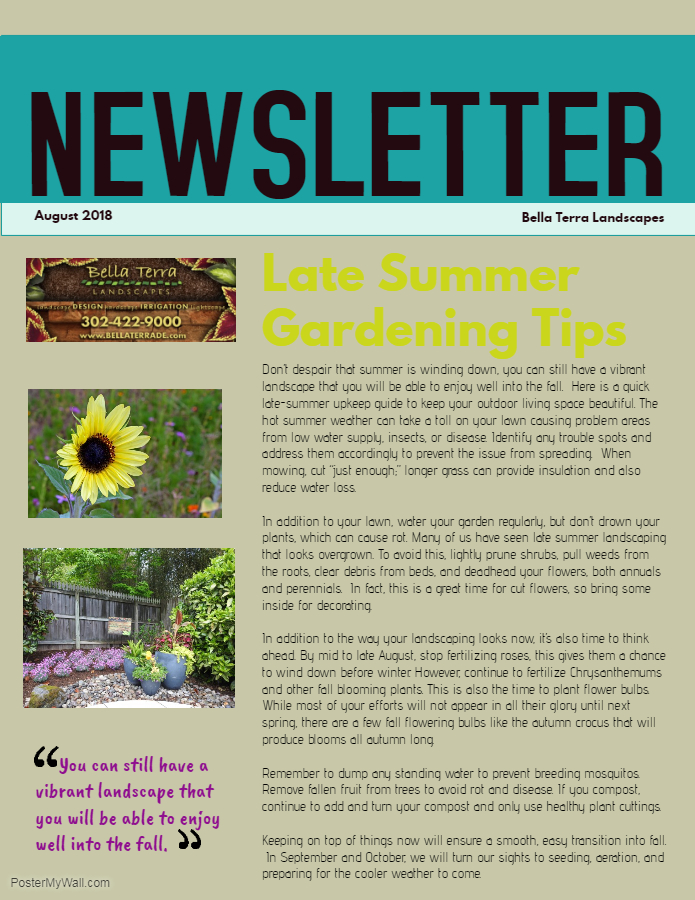 Late Summer Newsletter